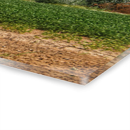 U R There Photography Lake Road Grey Rustic Farmhouse Acrylic Wall Print