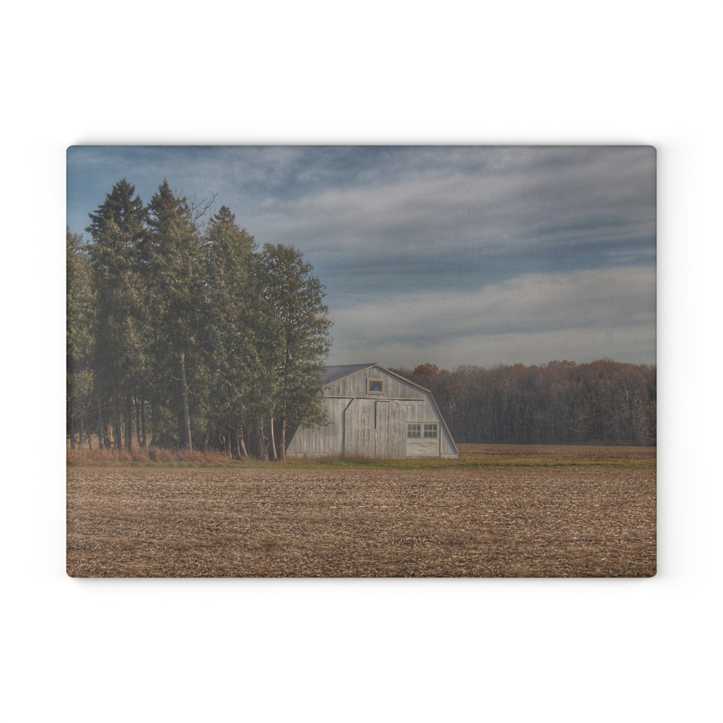 U R There Photography Grey Quonset Among the Pines Rustic Farmhouse Tempered-Glass Cutting Board