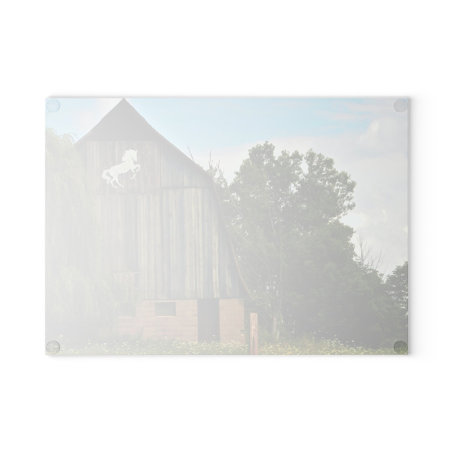 U R There Photography Hassler Lake Horse Barn Rustic Farmhouse Tempered-Glass Cutting Board 8"x 11"