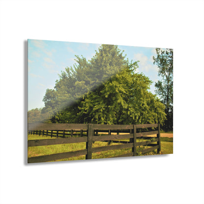 U R There Photography Country Fence and Tree in Metamora Rustic Farmhouse Acrylic Wall Print