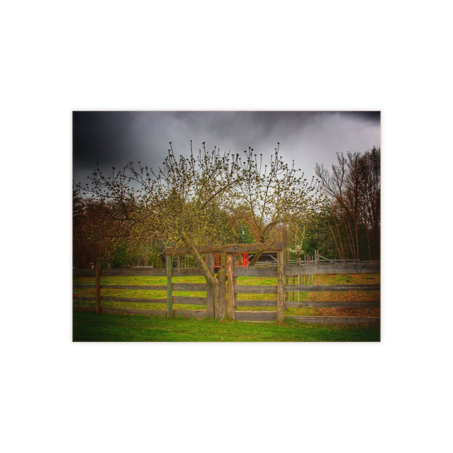 U R There Photography Castle Roadside Greys Rustic Farmhouse Decorative Ceramic Tile