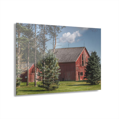 U R There Photography Havens Road Red Among the Pines Rustic Farmhouse Acrylic Wall Print