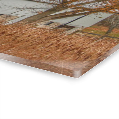 U R There Photography East Oakwood White Rustic Farmhouse Acrylic Wall Print