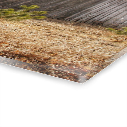 U R There Photography Leix Road Forgotten Grey II Rustic Farmhouse Acrylic Wall Print