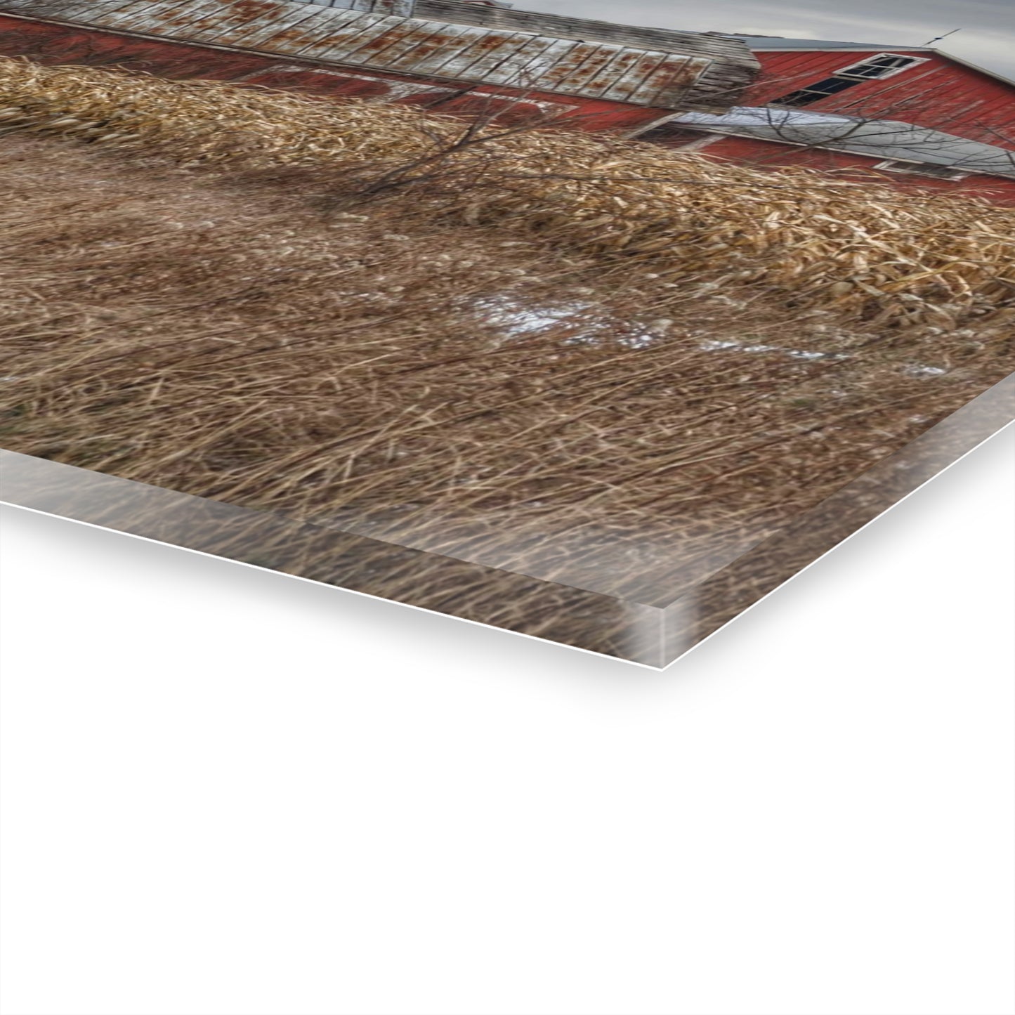 U R There Photography Edward Road Reds Rustic Farmhouse Acrylic Wall Print