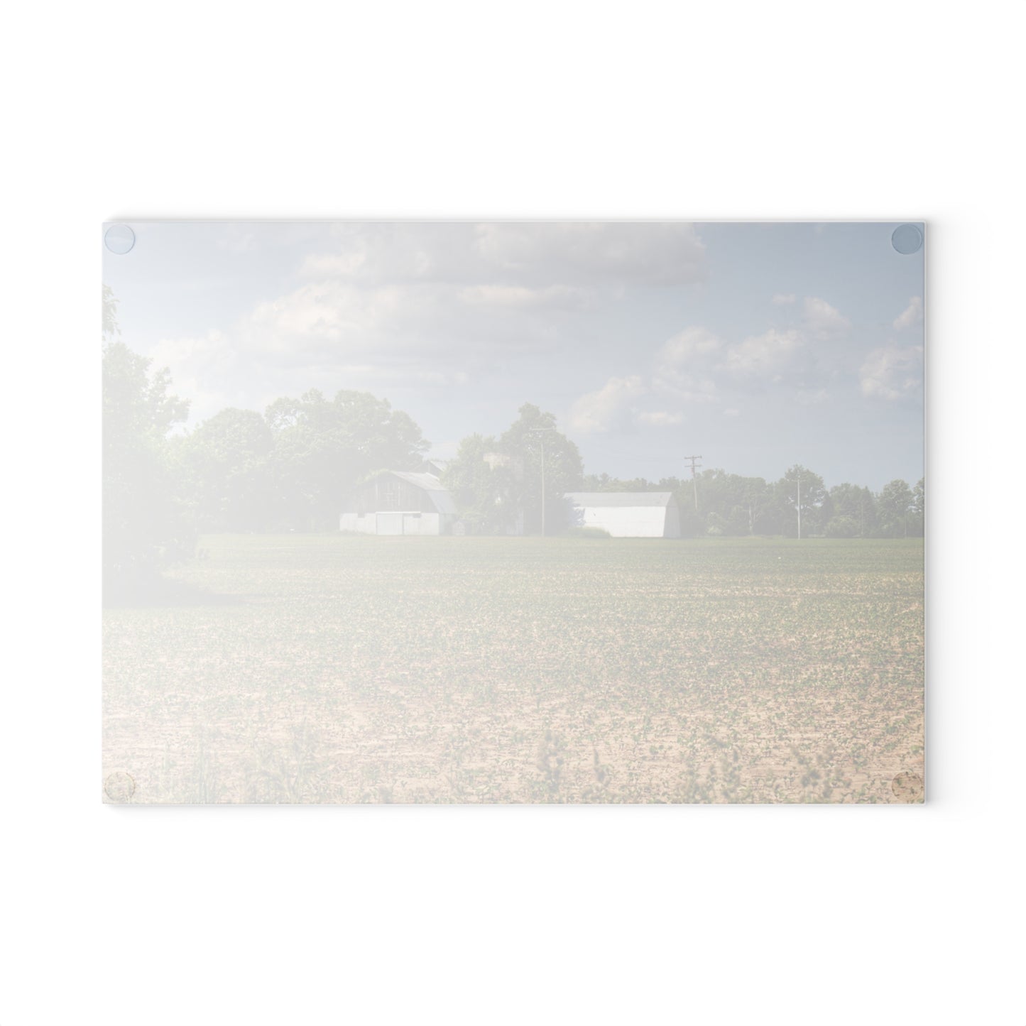 U R There Photography Willard Road White Rustic Farmhouse Tempered-Glass Cutting Board