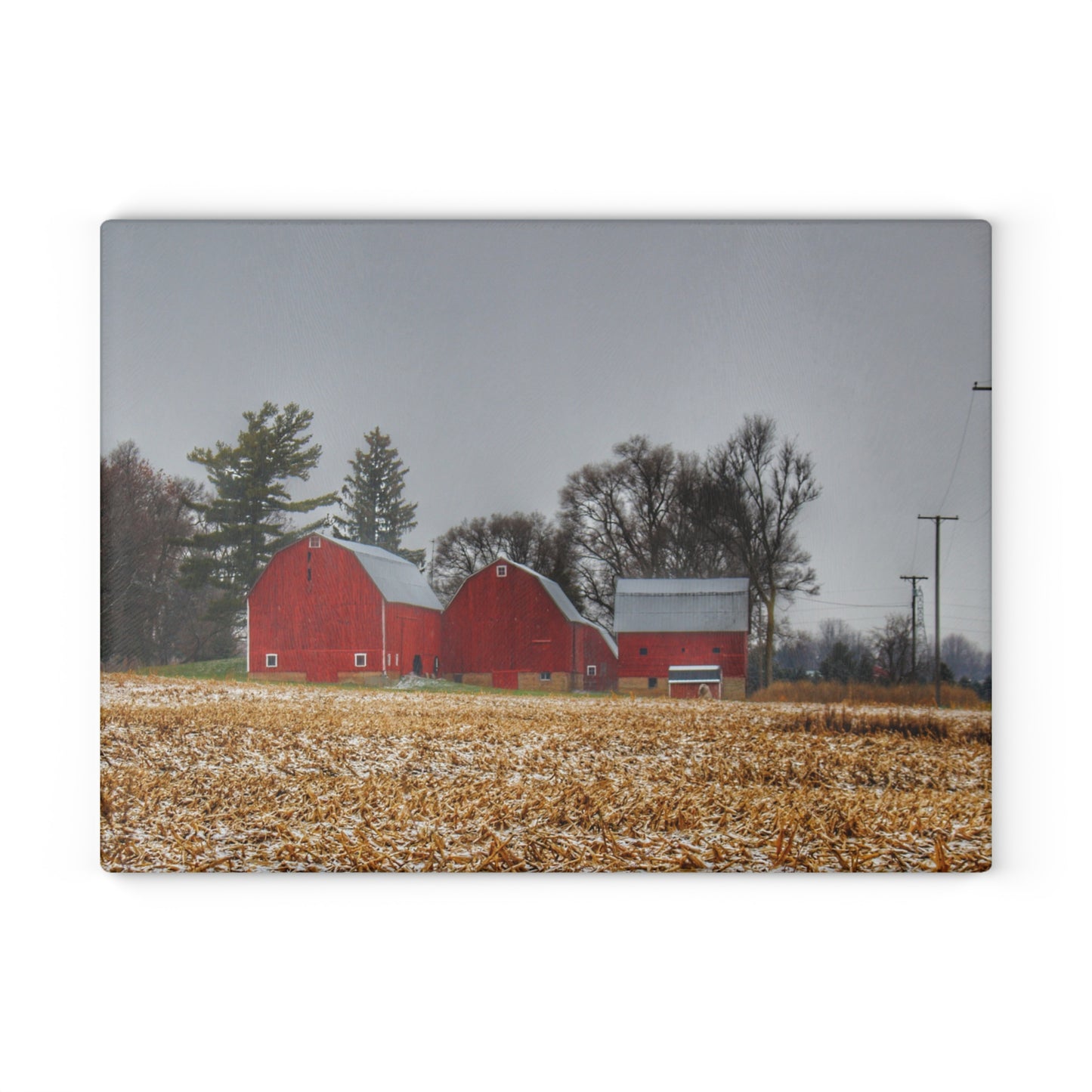 U R There Photography Shoemaker Road Winter Reds II Rustic Farmhouse Tempered-Glass Cutting Board