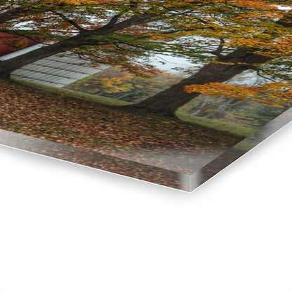 U R There Photography Brown Road Red in the Fall Rustic Farmhouse Acrylic Wall Print