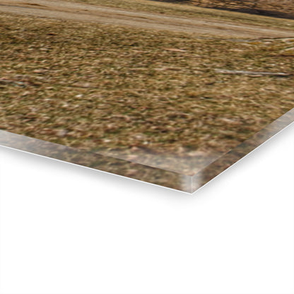 U R There Photography Mayville Road Red and Silo Rustic Farmhouse Acrylic Wall Print