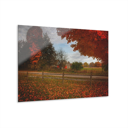 U R There Photography East Frances Road Hidden Grey II Rustic Farmhouse Acrylic Wall Print