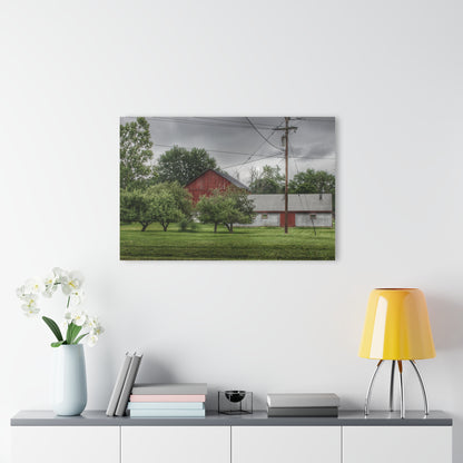 U R There Photography Hidden Red of M24 Rustic Farmhouse Acrylic Wall Print