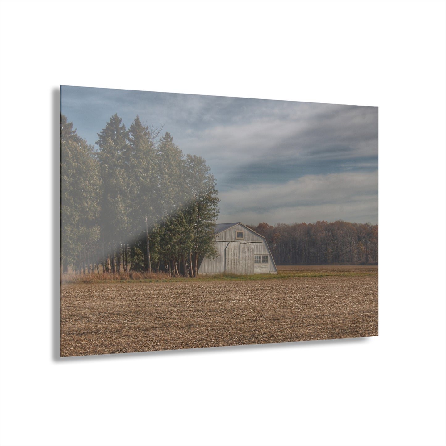 U R There Photography Grey Quonset Among the Pines Rustic Farmhouse Acrylic Wall Print