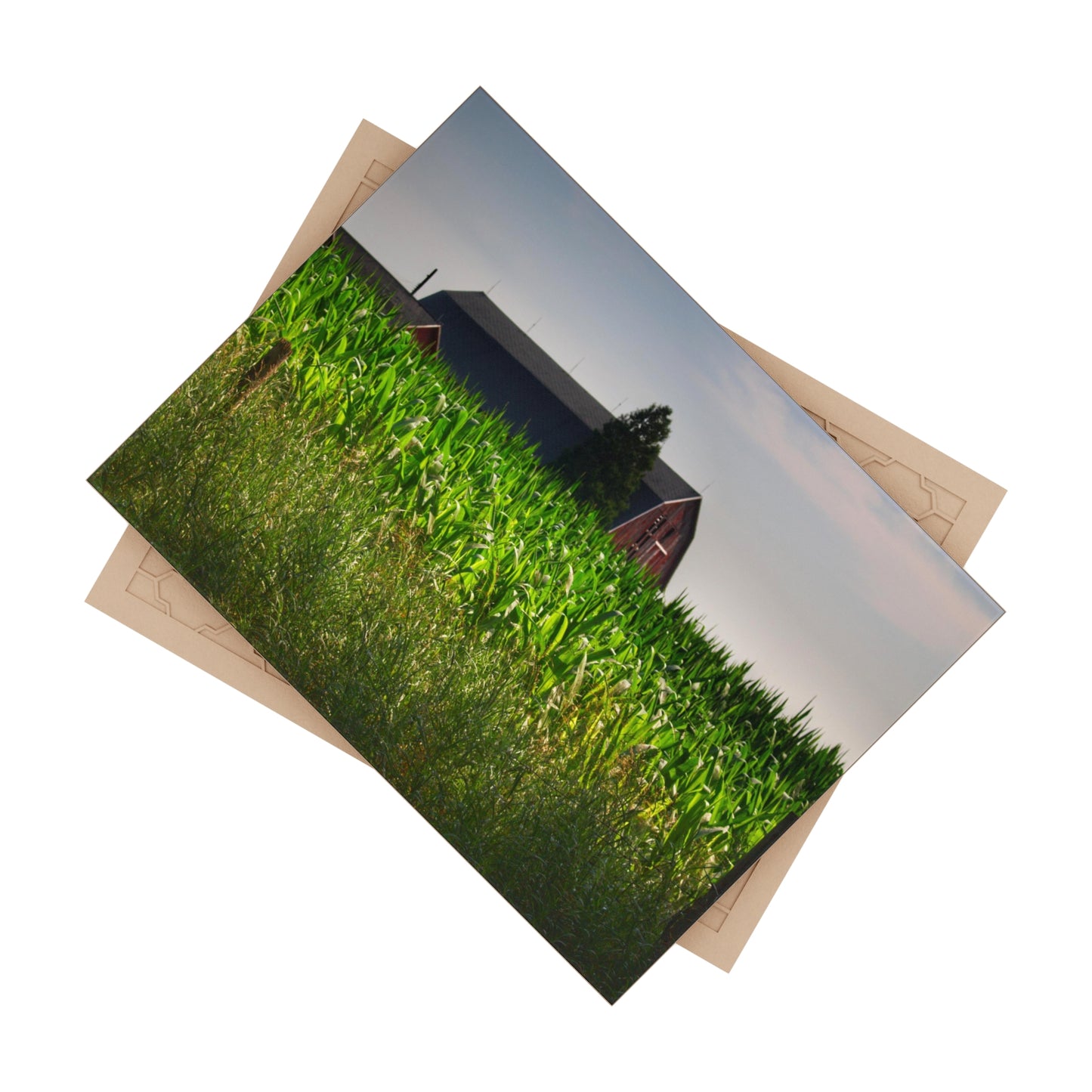 U R There Photography Beyond the Corn in Metamora Rustic Farmhouse Decorative Ceramic Tile