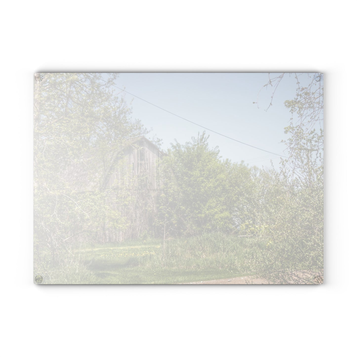 U R There Photography Bishop Road Grey II Rustic Farmhouse Tempered-Glass Cutting Board