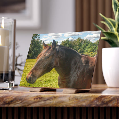 U R There Photography Brown Beauty I Rustic Farmhouse Decorative Ceramic Tile 6" × 8" Matte