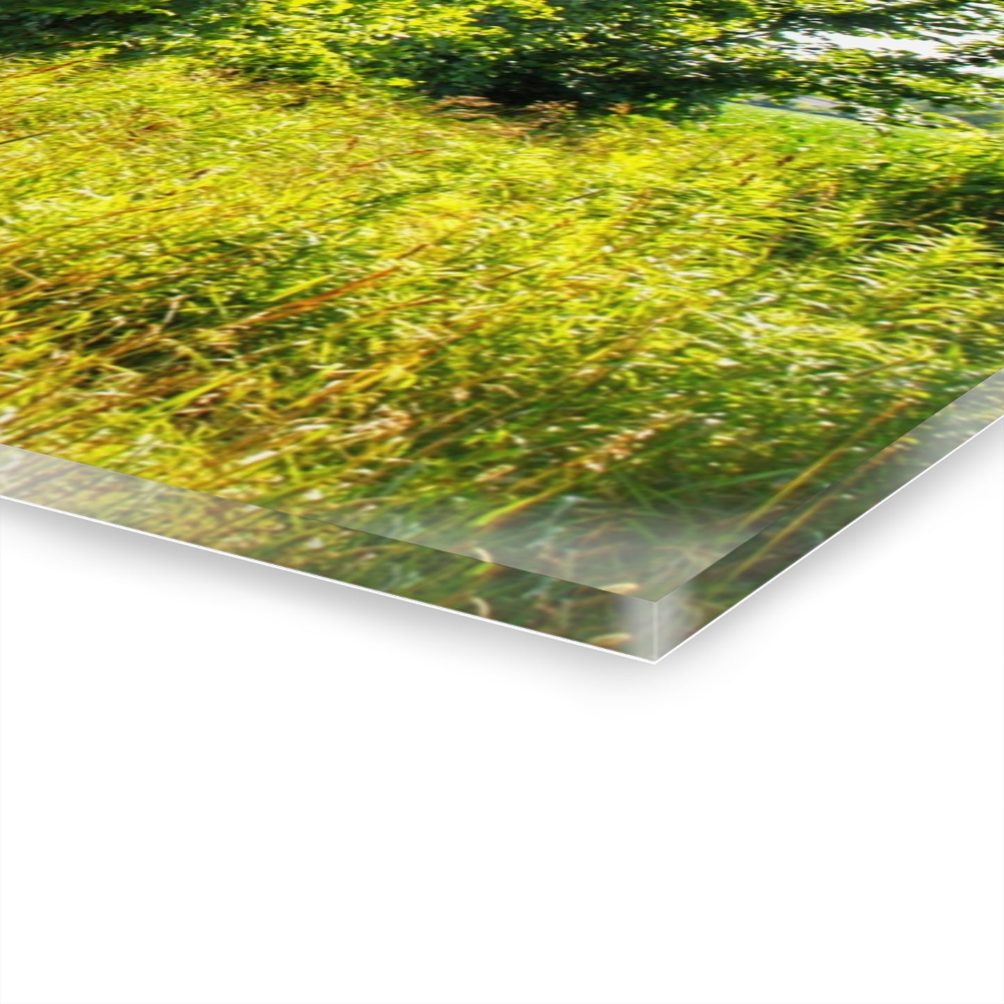 U R There Photography North Lake Pleasant Road Old Grey Rustic Farmhouse Acrylic Wall Print