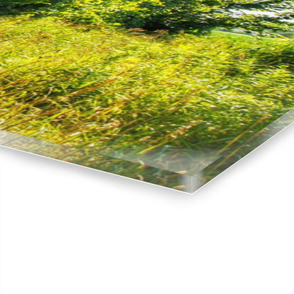 U R There Photography North Lake Pleasant Road Old Grey Rustic Farmhouse Acrylic Wall Print