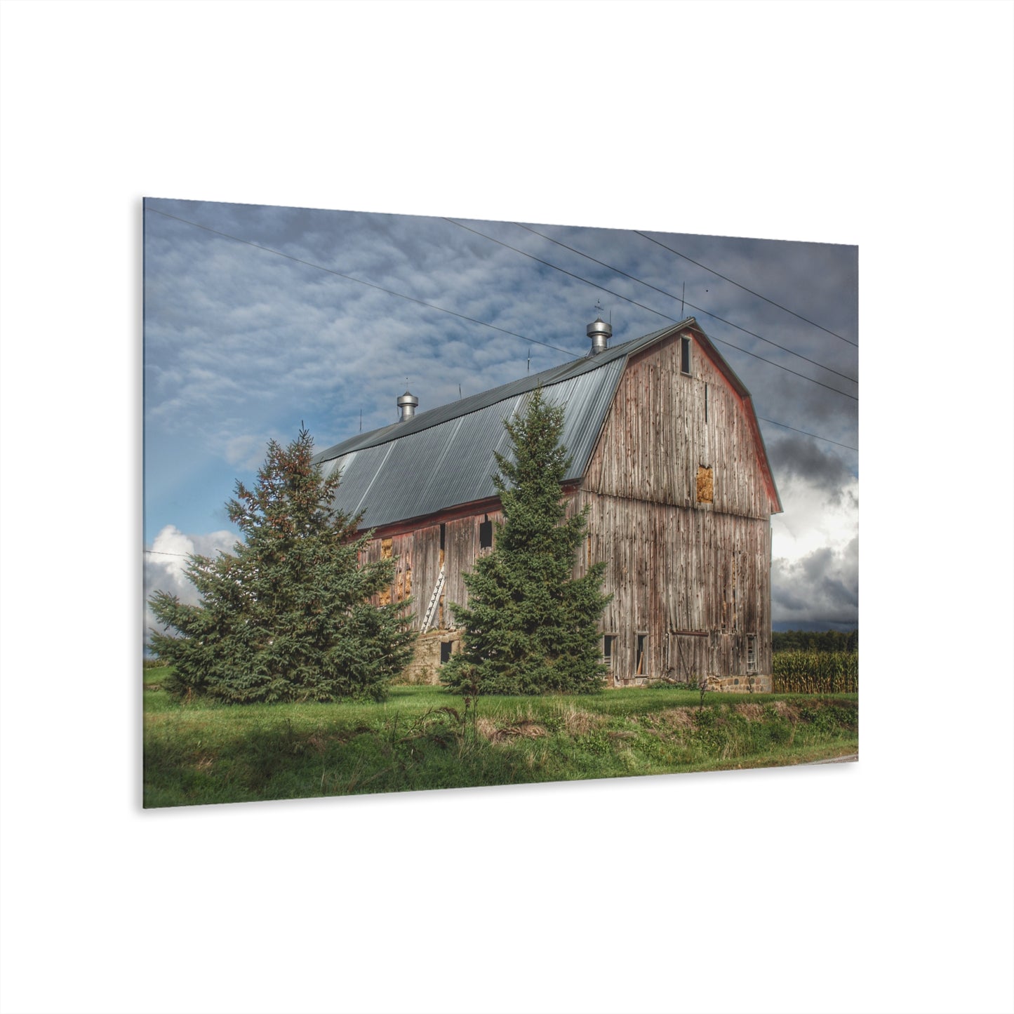 U R There Photography North Irish Red III Rustic Farmhouse Acrylic Wall Print