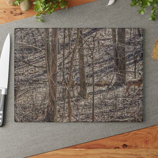 U R There Photography Three Does of Dryden Rustic Farmhouse Acrylic Analog Wall Clock