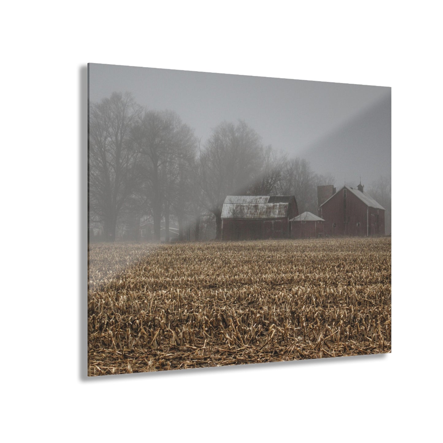 U R There Photography Farm in the Fog on Barnes Road Rustic Farmhouse Acrylic Wall Print