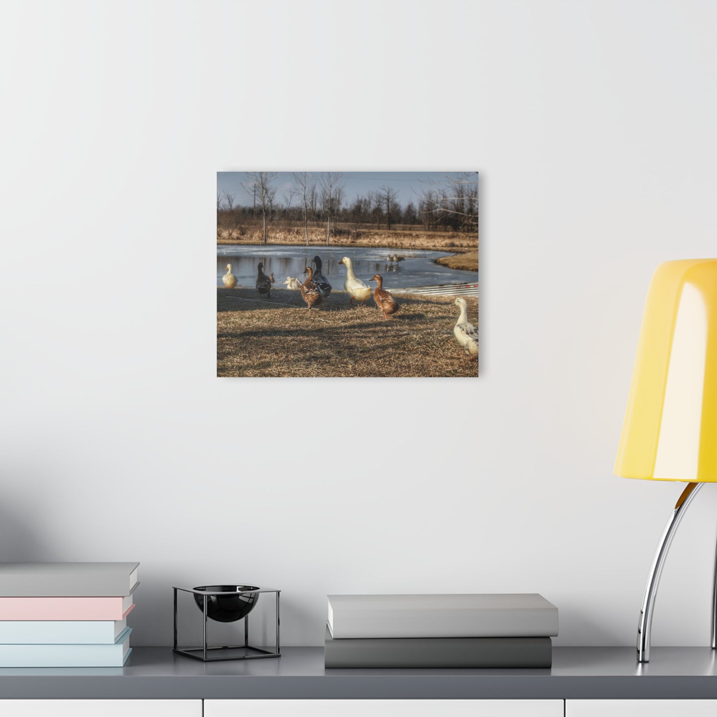 Barn Boutique Modern Farmhouse Acrylic Wall Print| Ducks of Wheeling Road I