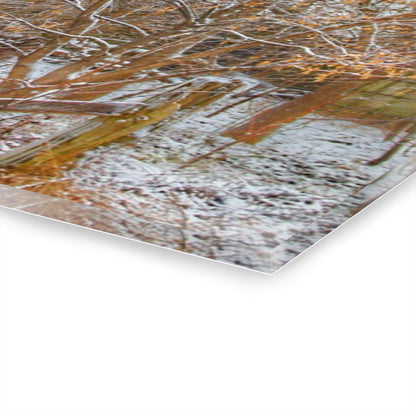 U R There Photography Dryden Road Hidden Winter Grey Rustic Farmhouse Acrylic Wall Print