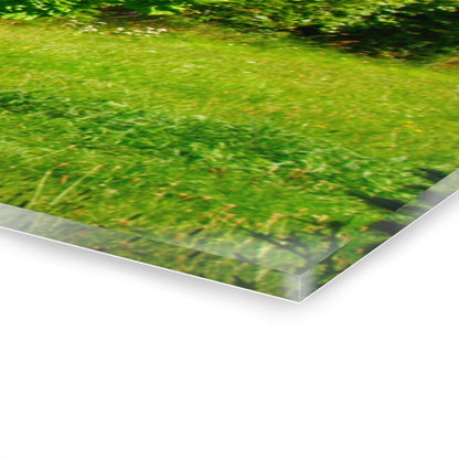 U R There Photography Hidden Grey of Hunters Creek Rustic Farmhouse Acrylic Wall Print