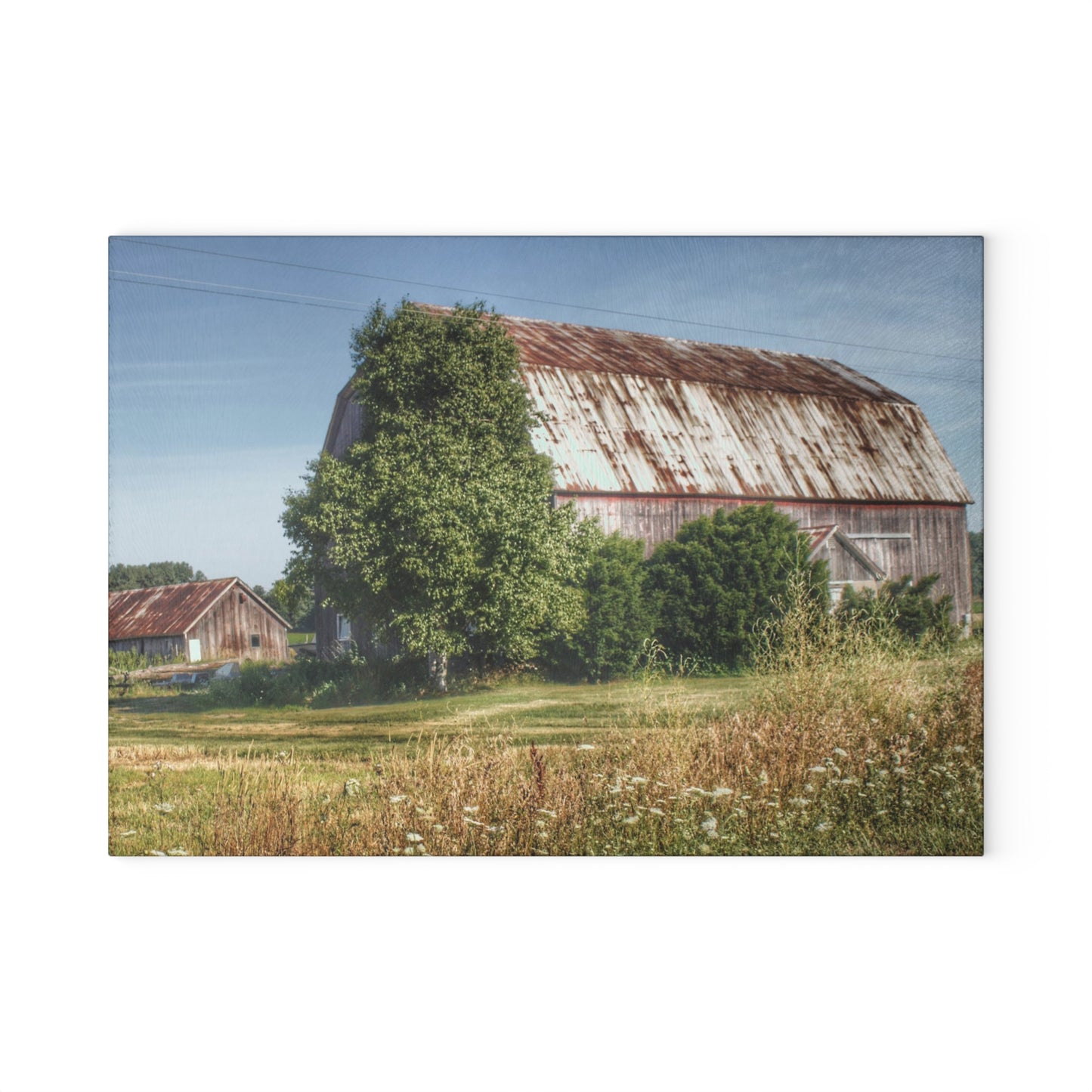 U R There Photography Barkley Road Red in Summer II Rustic Farmhouse Tempered-Glass Cutting Board