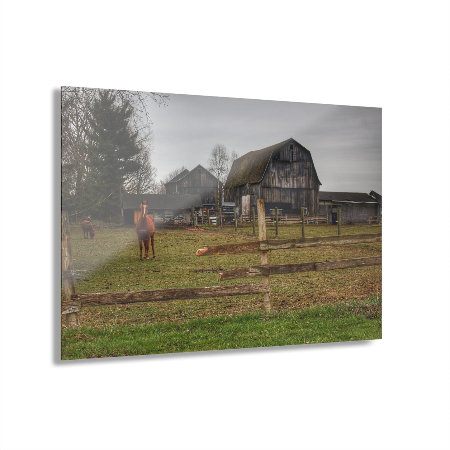 U R There Photography South Summers Road Old Grey and Caramel II Rustic Farmhouse Acrylic Wall Print