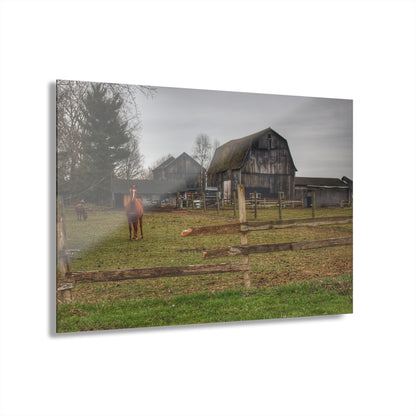 U R There Photography South Summers Road Old Grey and Caramel II Rustic Farmhouse Acrylic Wall Print