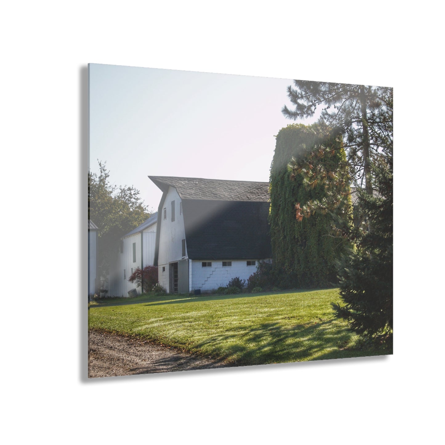 U R There Photography Five Lakes Road White Rustic Farmhouse Acrylic Wall Print
