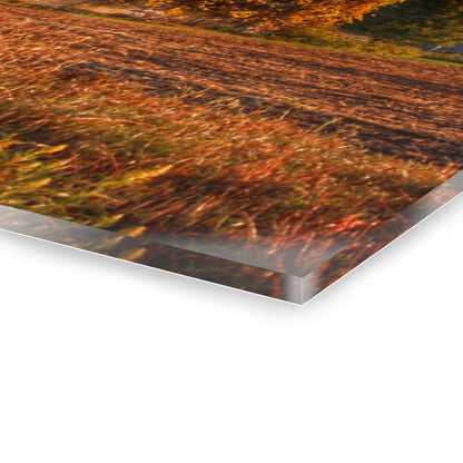 U R There Photography Lake Pleasant Road Grey Rustic Farmhouse Acrylic Wall Print