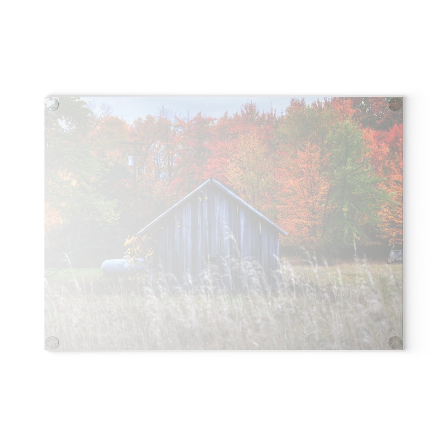 U R There Photography Beyond Church Road Little Grey Rustic Farmhouse Tempered-Glass Cutting Board