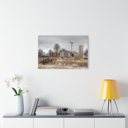 U R There Photography Norway Lake Road Grey Rustic Farmhouse Acrylic Wall Print
