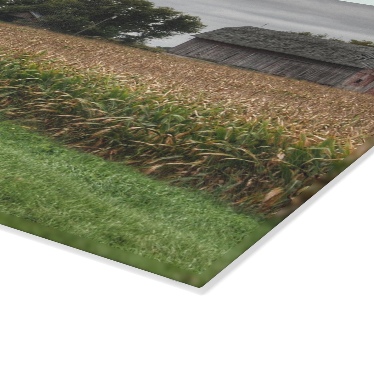 U R There Photography East Caro Road Reds Rustic Farmhouse Tempered-Glass Cutting Board