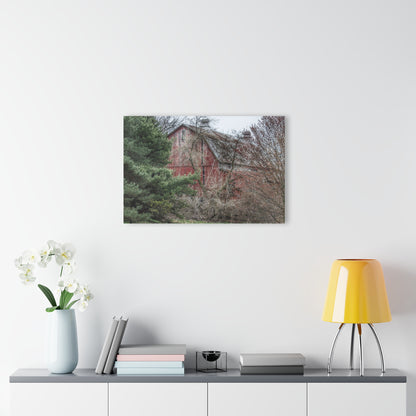 U R There Photography Morris Road Hidden Rustic Farmhouse Acrylic Wall Print