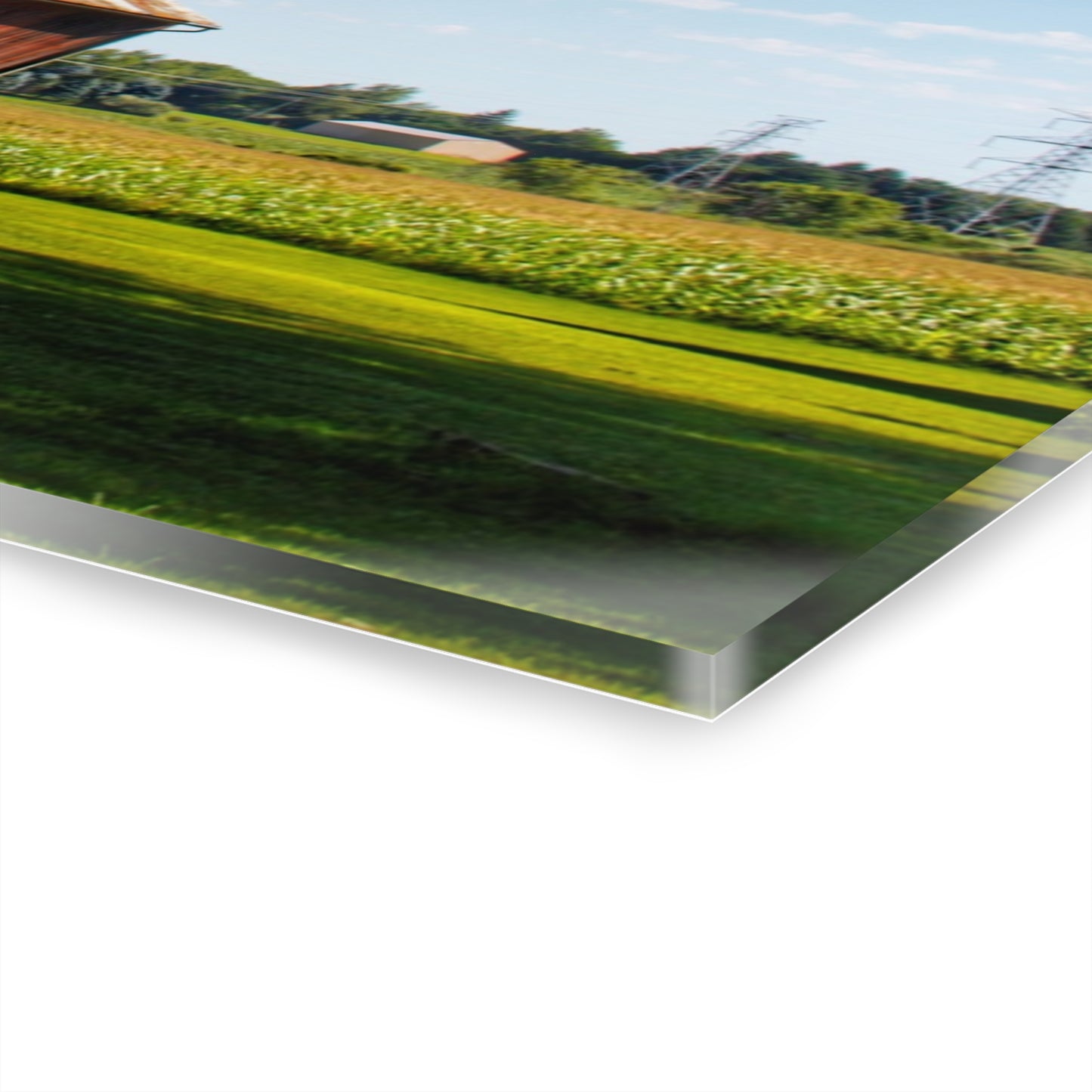 U R There Photography Hunters Creek Little Red Cow Barn Rustic Farmhouse Acrylic Wall Print