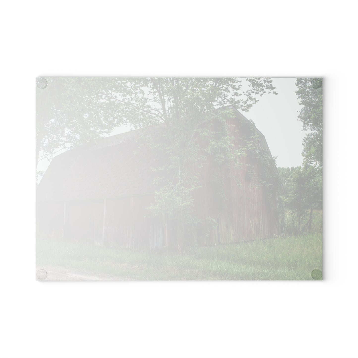 U R There Photography West Murphy Lake Red Rustic Farmhouse Tempered-Glass Cutting Board