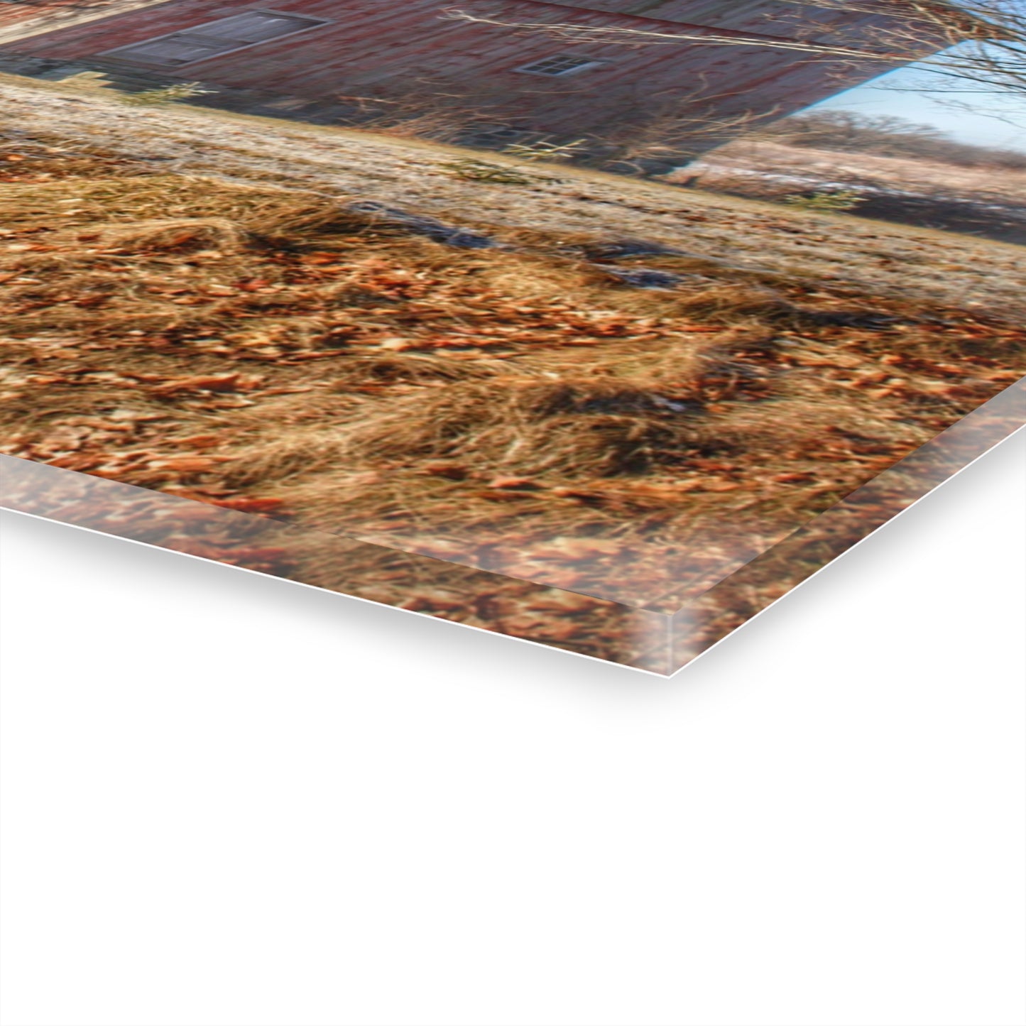 U R There Photography M-24 Barn at the Bend I Rustic Farmhouse Acrylic Wall Print