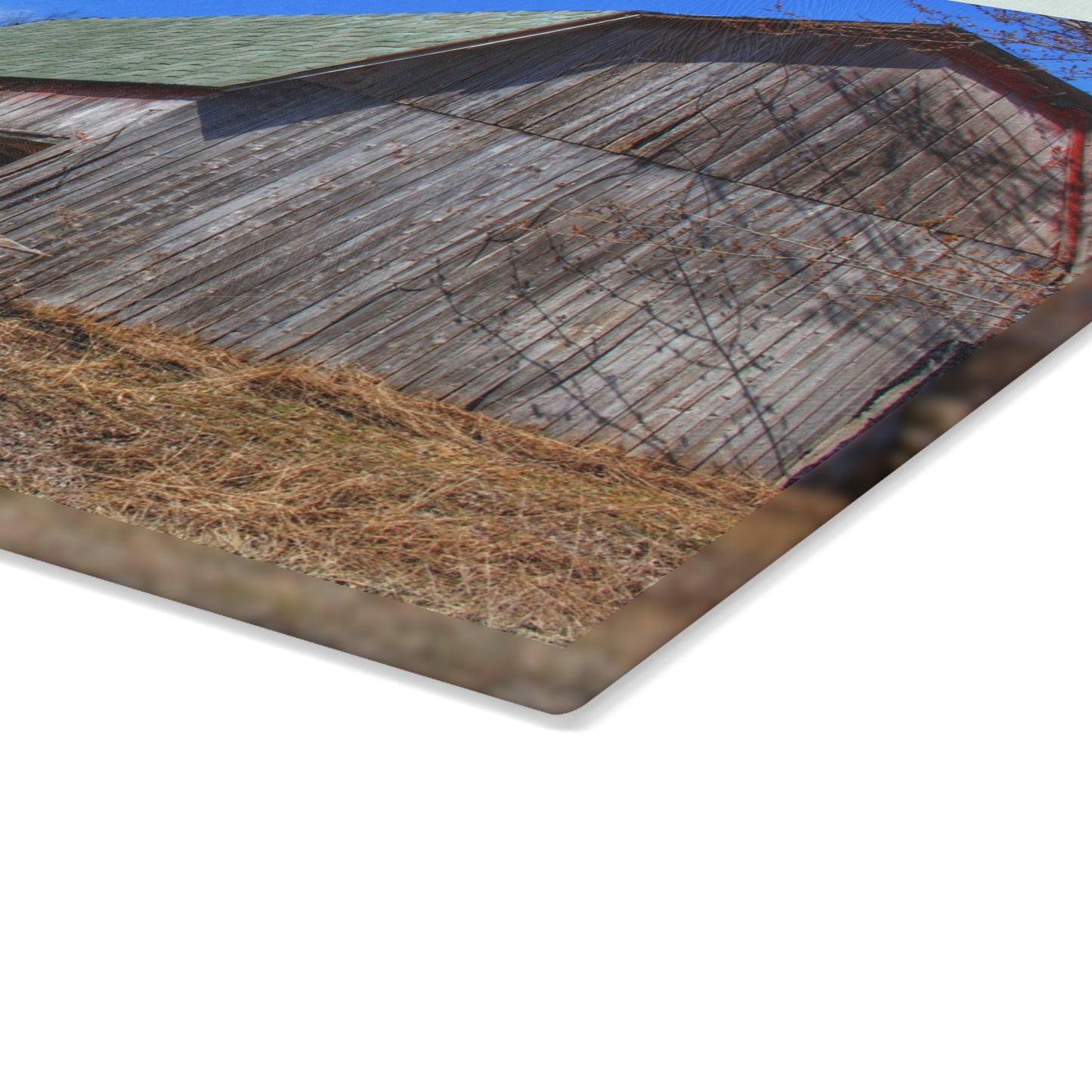 U R There Photography Romeo Plank Road Forgotten Greys Rustic Farmhouse Tempered-Glass Cutting Board 8"x 11"