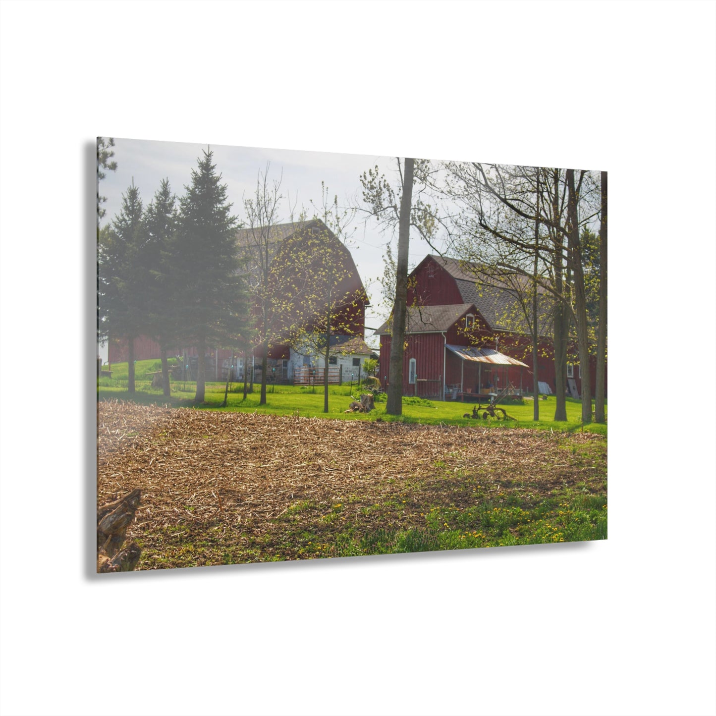 U R There Photography Bishop Road Reds III Rustic Farmhouse Acrylic Wall Print