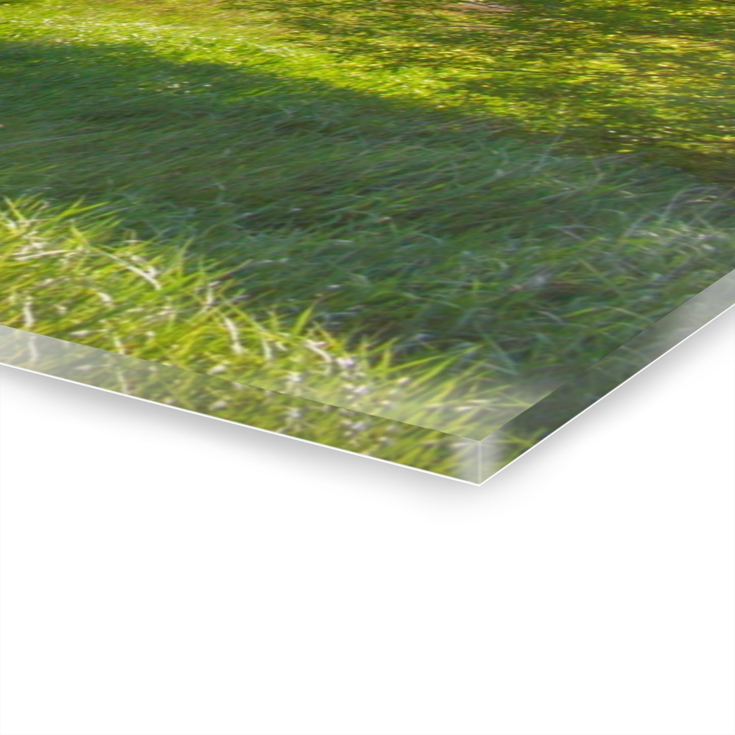 U R There Photography Leslie Road Red I Rustic Farmhouse Acrylic Wall Print