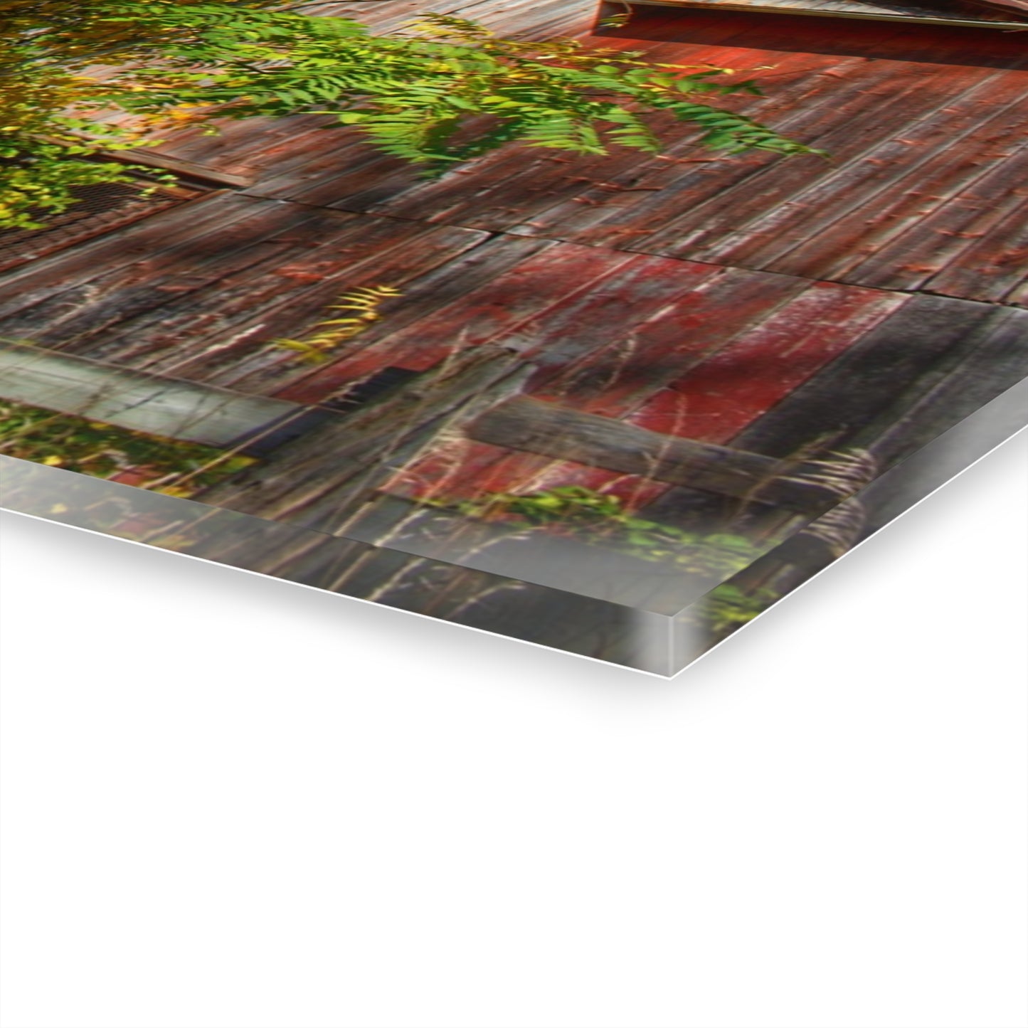U R There Photography Oxford Rusted Red in Fall Rustic Farmhouse Acrylic Wall Print