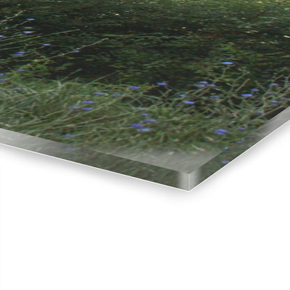 U R There Photography Genesee Road Red I Rustic Farmhouse Acrylic Wall Print