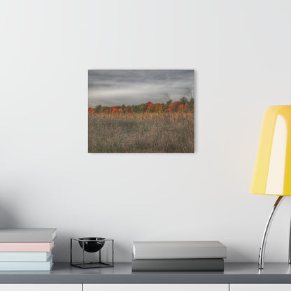 U R There Photography Fall on Murphy Lake V Rustic Farmhouse Acrylic Wall Print