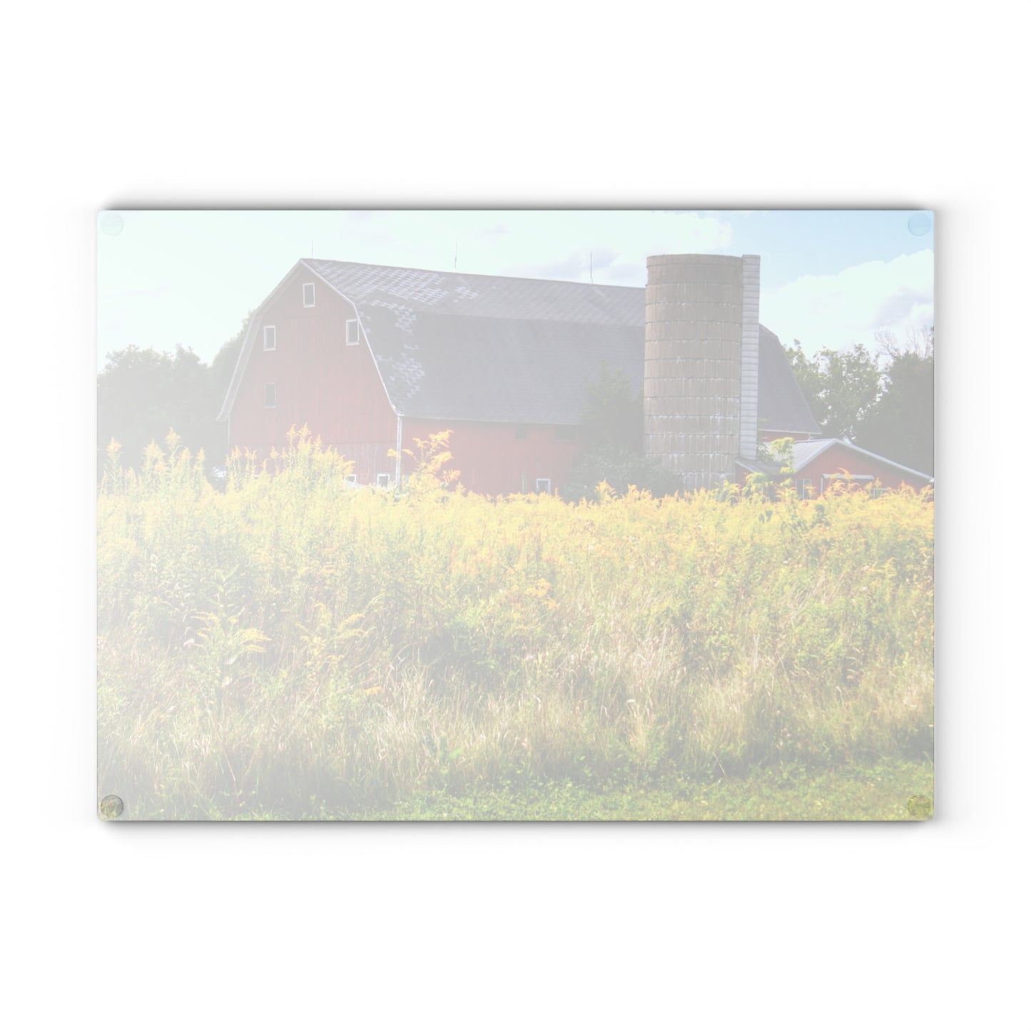 U R There Photography Starr Court Red II Rustic Farmhouse Tempered-Glass Cutting Board