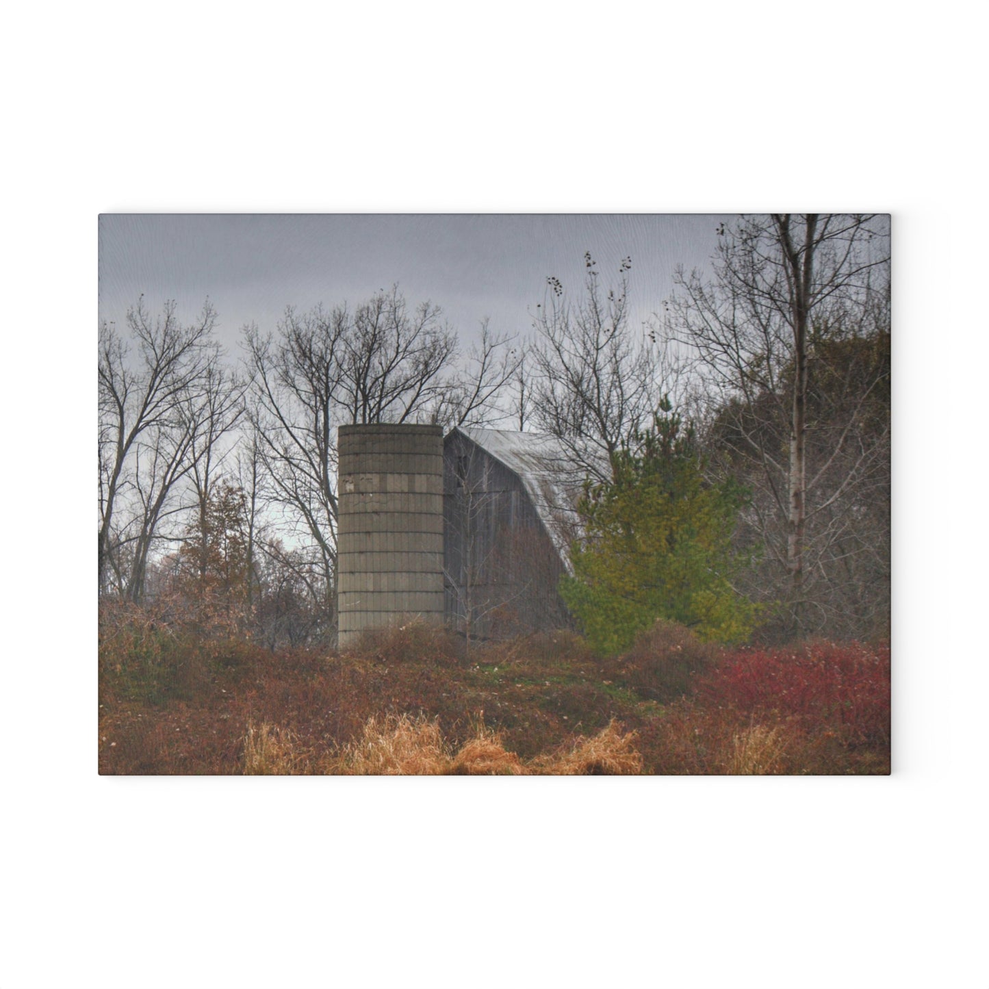 U R There Photography Freiberger Road Hidden Grey Rustic Farmhouse Tempered-Glass Cutting Board