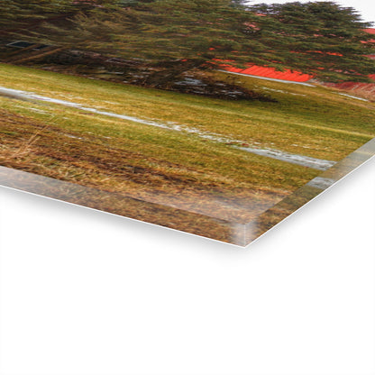 U R There Photography Laur Road Red Among the Pines III Rustic Farmhouse Acrylic Wall Print