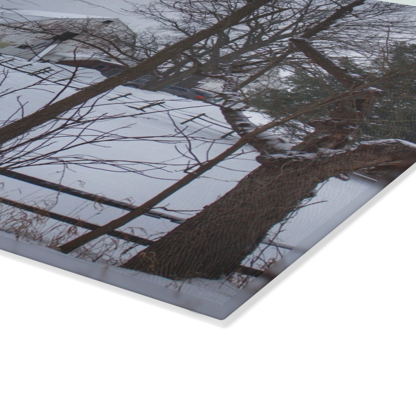 U R There Photography Oakwood Hidden White Rustic Farmhouse Tempered-Glass Cutting Board