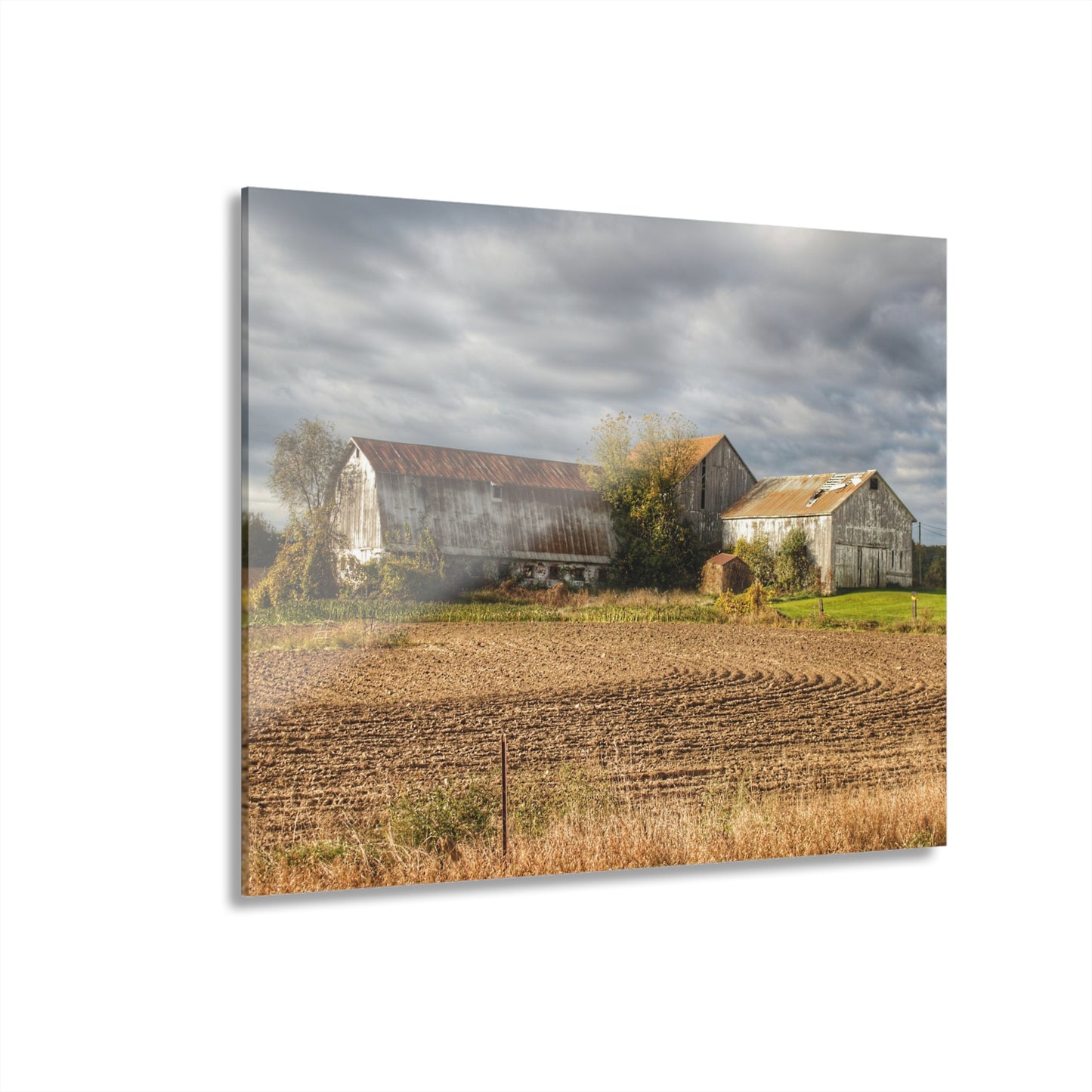 U R There Photography Newark Road Whites Rustic Farmhouse Acrylic Wall Print